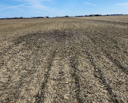 Soil staining or oily residue that could indicate a well is present.