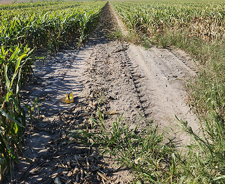 Zone de végétation morte qui pourrait indiquer la présence d’un puits.