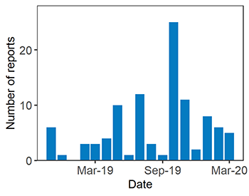 Chart showing number of reports by date from pre-March 2019 to March 2020. From 0 reports to over 20 reports in some months.