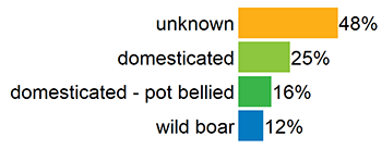 Percentage of unknown (48%), domesticated (25%), pot bellied (16%) and wild boar (12%) reported