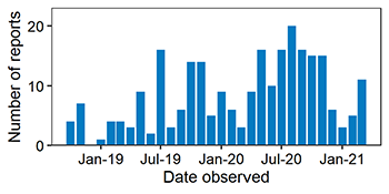 Chart showing number of reports by date from pre-January 2019 to March 2021. From 0 reports to over 20 reports in some months.