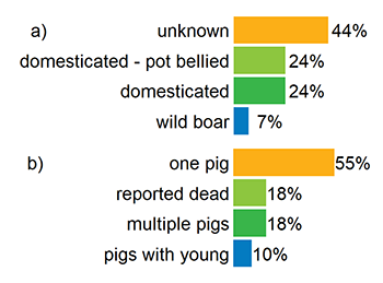 Chart of percentage by pig type and by group type.