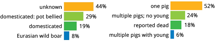 Two charts showing percentages of types and the number of pigs.