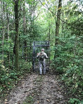 Pig technician on a two-lane dirt track in the forest moving a pig trap.