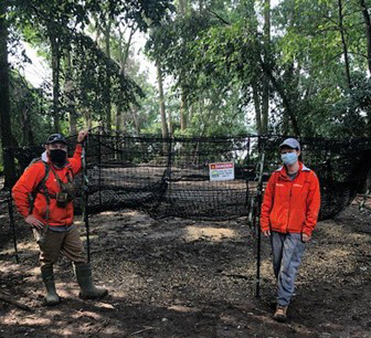 Two technicians in the forest wearing bright orange jackets, standing beside a pig trap.