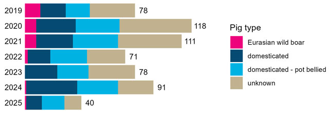 Bar graph showing pig type numbers reported over the years of 2019 to 2025.