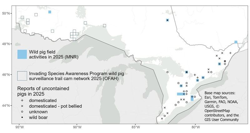 Map of Ontario showing sightings of wild pigs and operations.