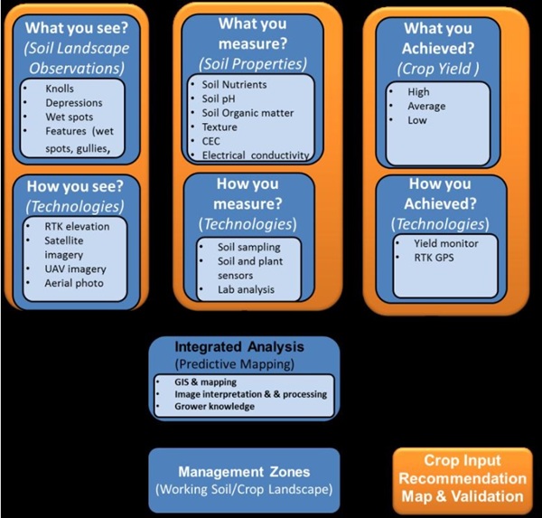 Logic model of the development of management zones