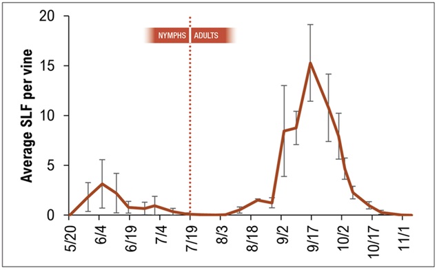 A graph depicting the average SLF per vine. There is a dotted line on the graph starting at 7/19 on the x-axis depicting nymphs and adults. 