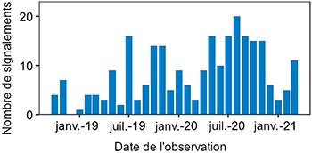 Graphique montrant le nombre de signalements par date, de avant janvier 2019 à mars 2021. De 0 signalement à plus de 20 signalements certains mois.