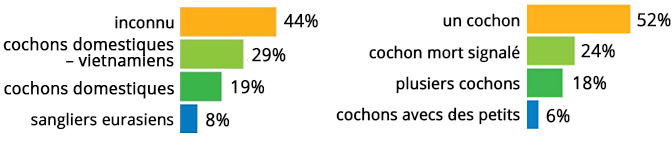 Deux graphiques présentant les pourcentages des différents types et le nombre de porcs.