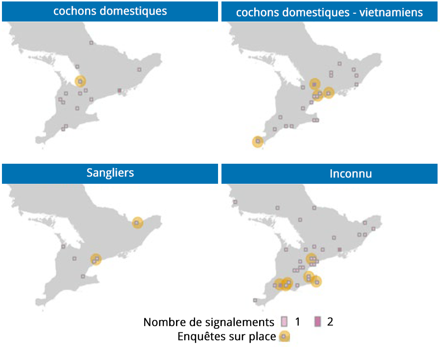 Quatre cartes distinctes illustrant les observations de sangliers par type.