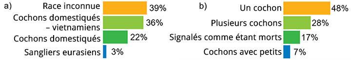 Deux graphiques présentant les pourcentages des différents types et le nombre de porcs.