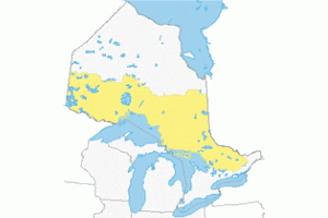 Crown Land Use Policy Atlas  ontario.ca