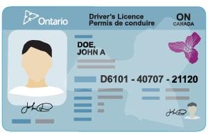 Driver s licence ontario ca