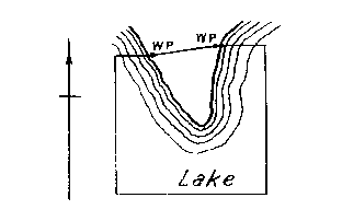 Diagram of claim with no numbered posts. Land protrudes across north boundary with witness posts on either side at lake edge.